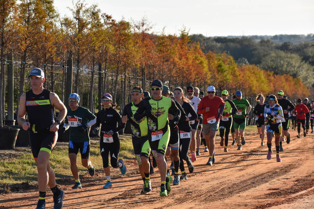Runners along a clay trail next to a row of containerized bald cypress trees.
